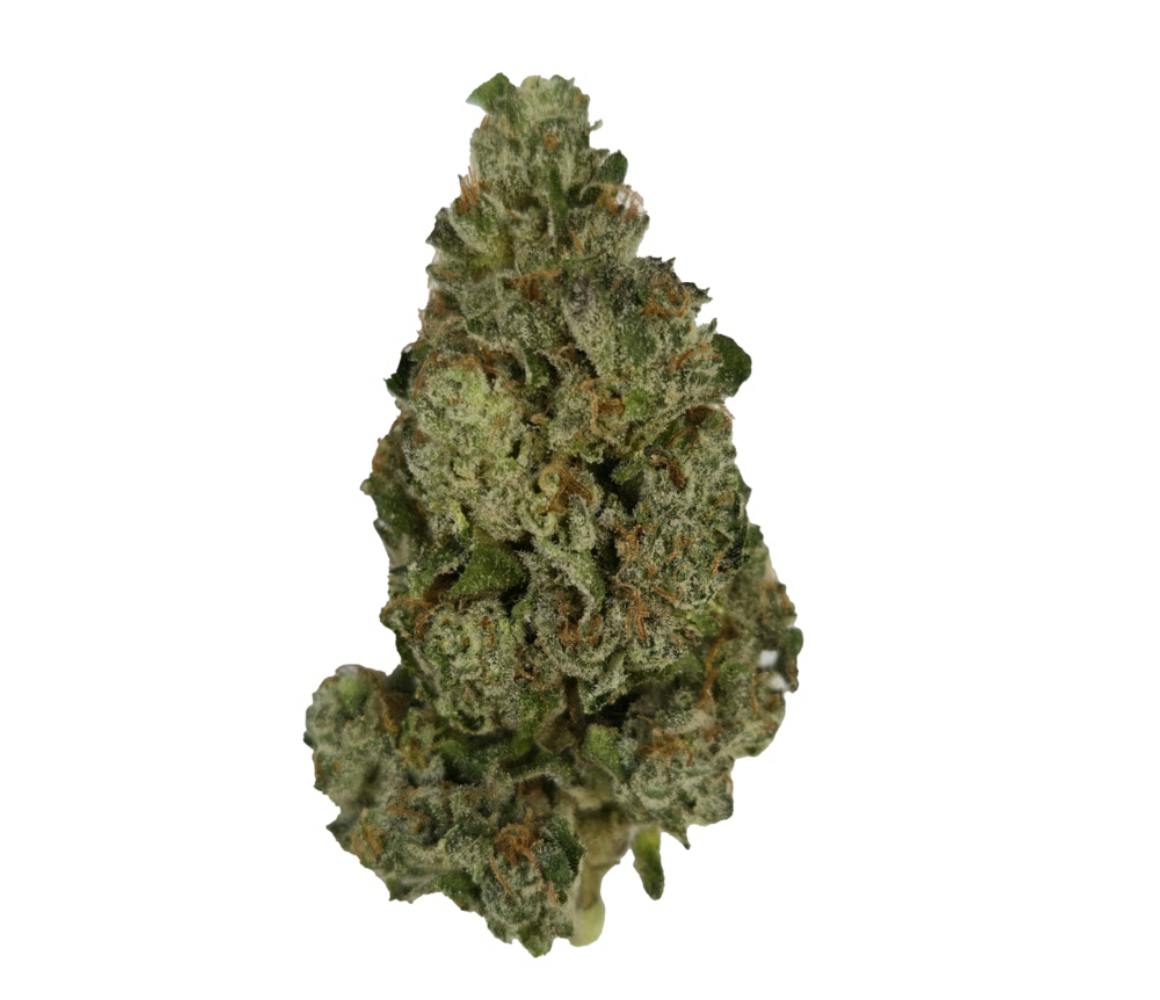 Vireo - Vireo | Kabuki Sour | Flower | 7G - 1