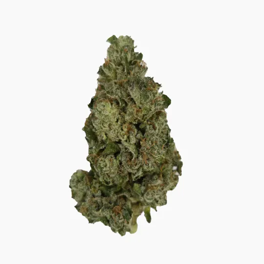 Vireo - Kabuki Sour | Big Buds | 7g - 1