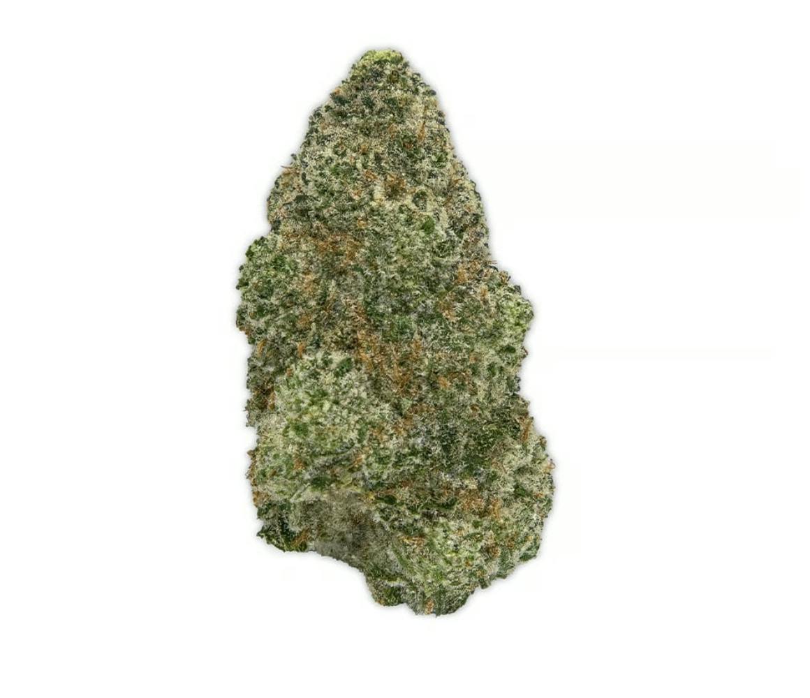 Vireo - Vireo | GMO Pie | Flower | 7G - 1