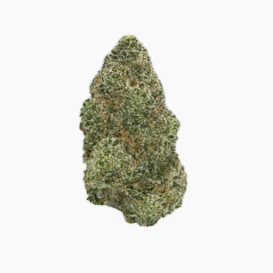 Vireo - Vireo | GMO Pie | Flower | 7G - 1