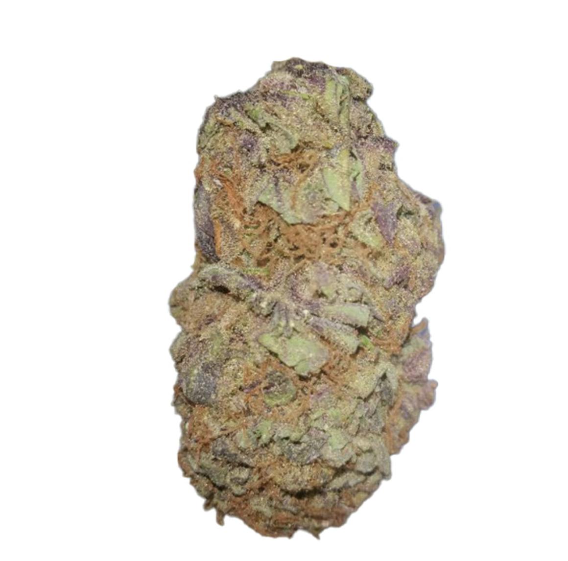 Vireo - Vireo | Ultimate Purple | Flower | 7G - 1