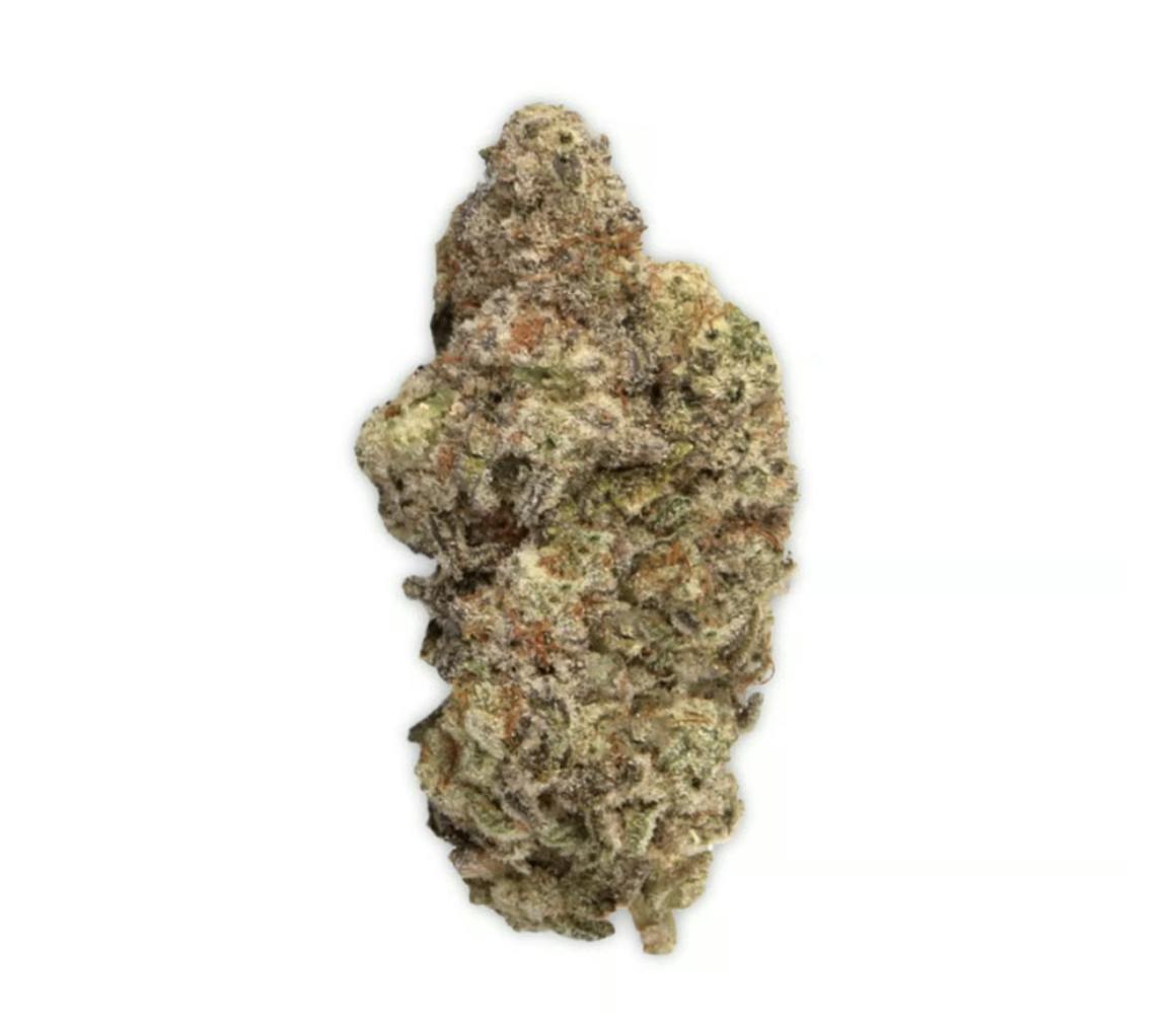 Vireo - Vireo | MAC1 | Flower | 7G - 1