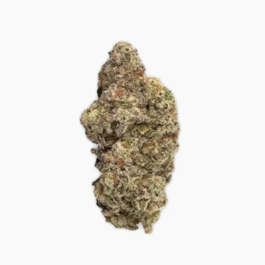 Vireo - Vireo | MAC1 | Flower | 7G - 1