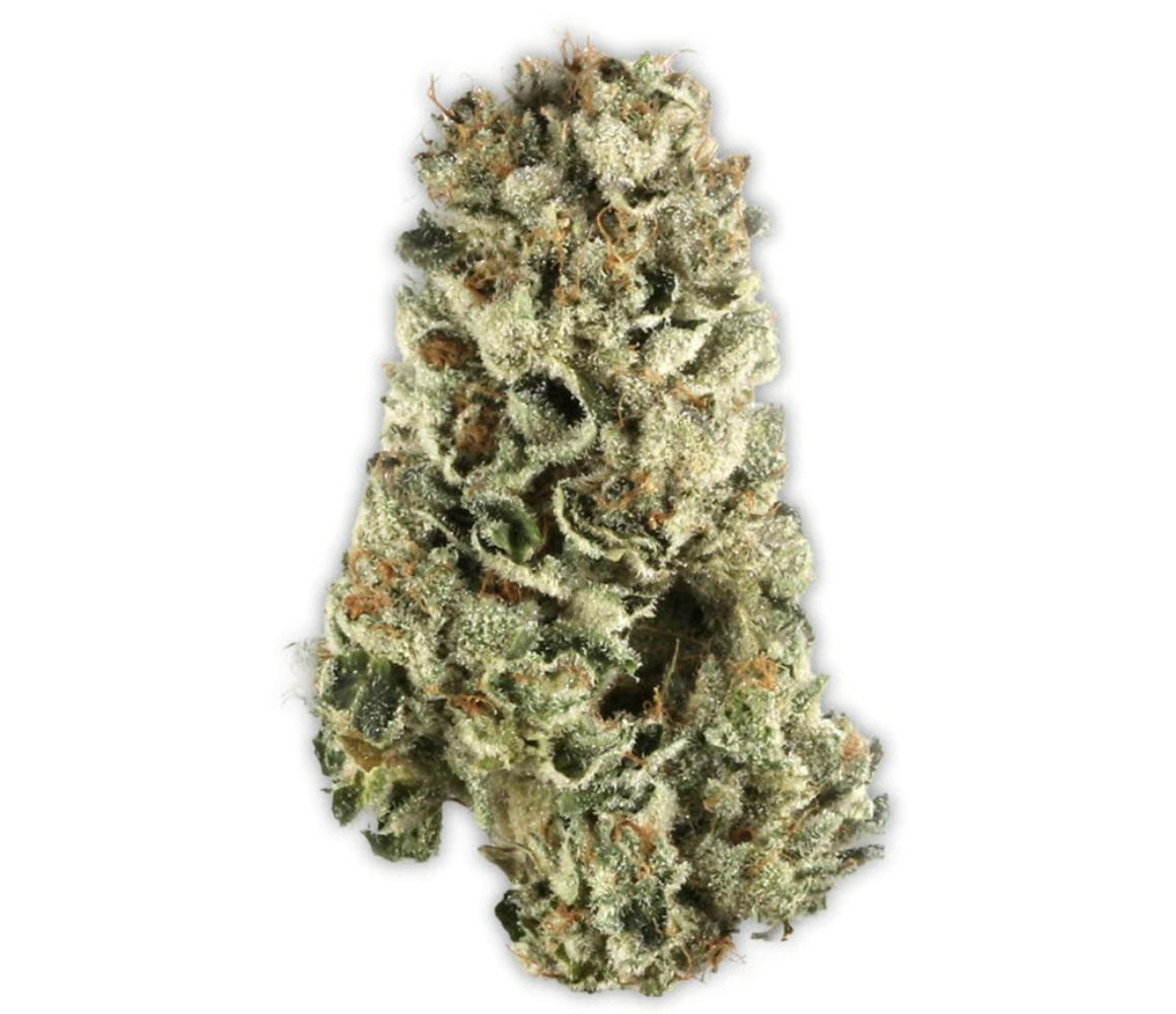 Vireo - Vireo | Hellcat #15 | Flower | 7G - 1