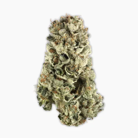 Vireo - Vireo | Hellcat #15 | Flower | 7G - 1