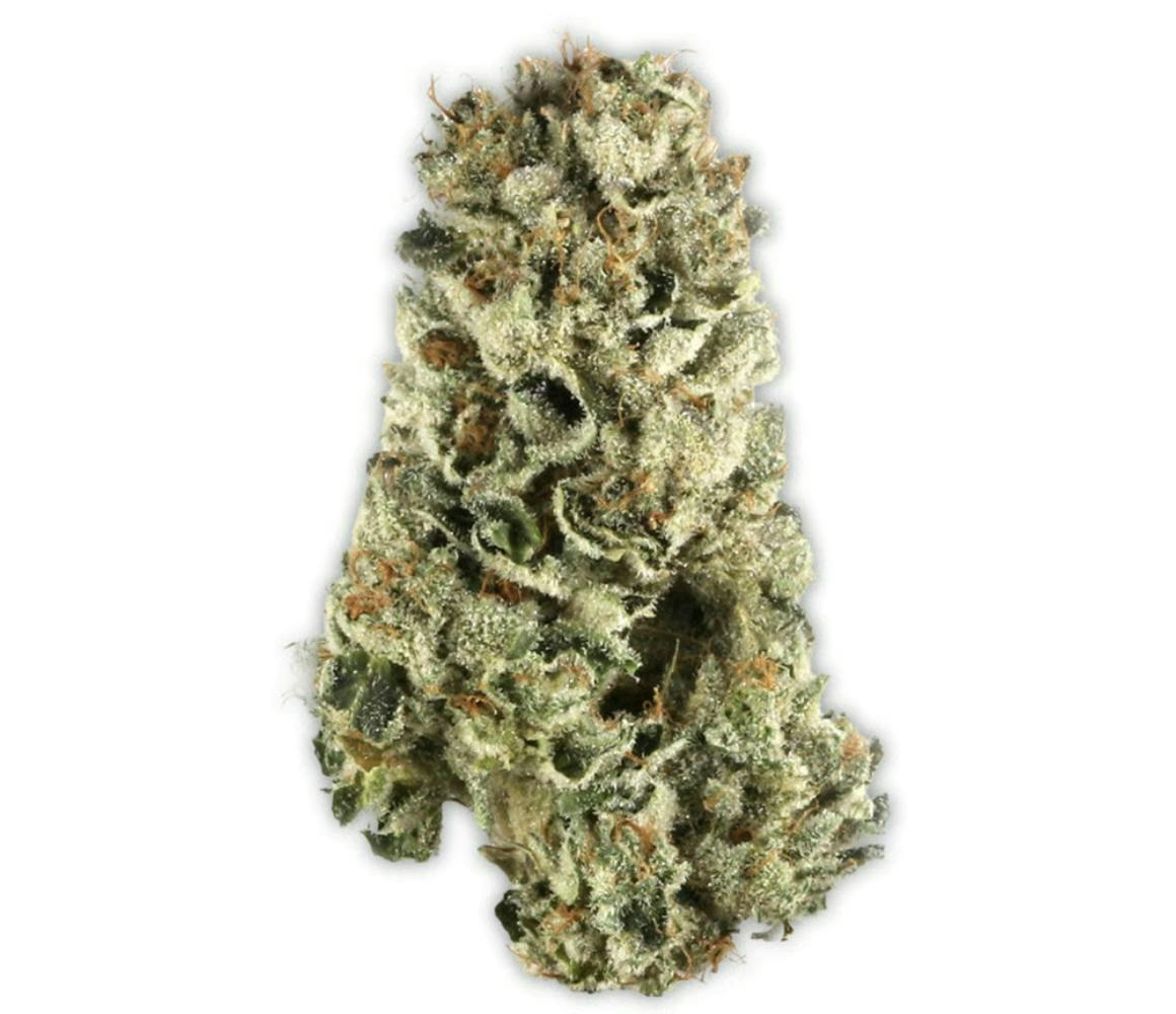 Vireo - Hellcat #15 | Big Buds | 7g - 1