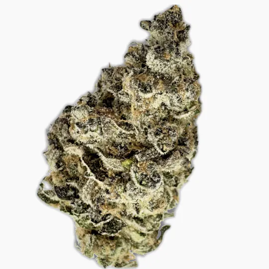 Vireo - Vireo | Super Boof | Flower | 7G - 1