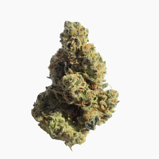 Vireo - Vireo | Super Sonic Blizzard | Flower | 7G - 1