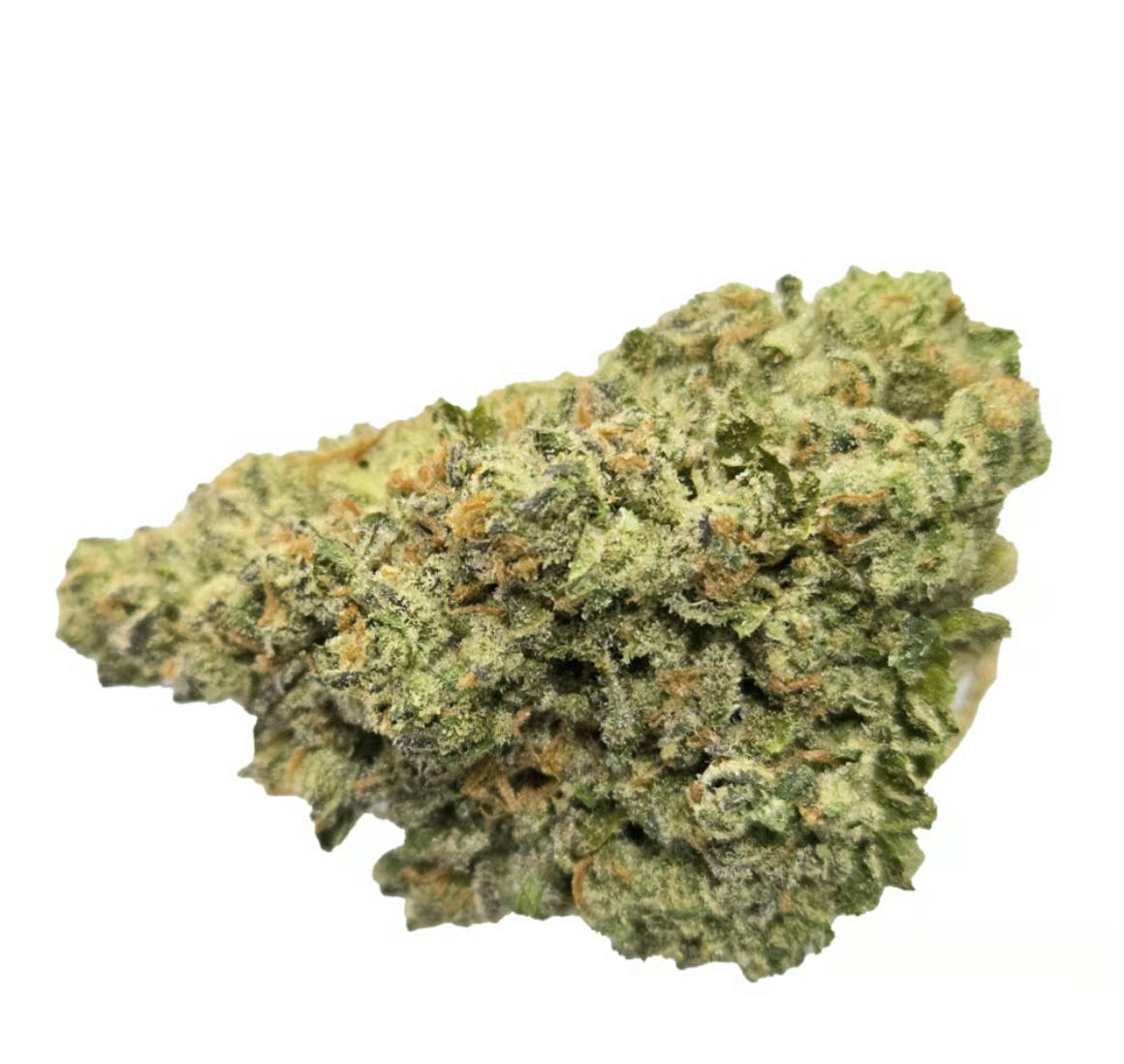 Vireo - Vireo | Rain Drops | Flower | 7G - 1