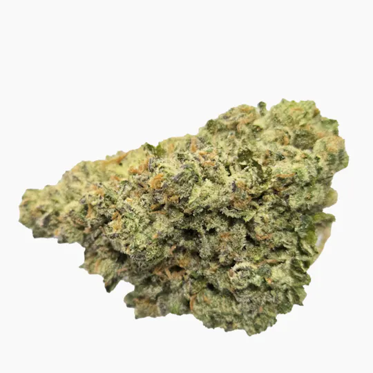 Vireo - Vireo | Rain Drops | Flower | 7G - 1