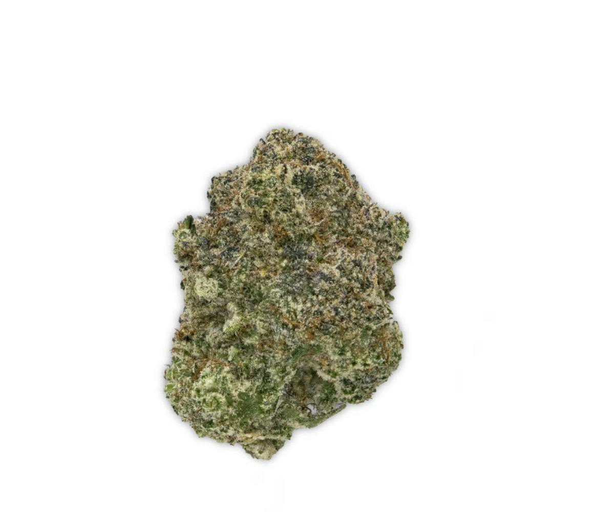 Vireo - Vireo | Gelato Cake | Flower | 7G - 1