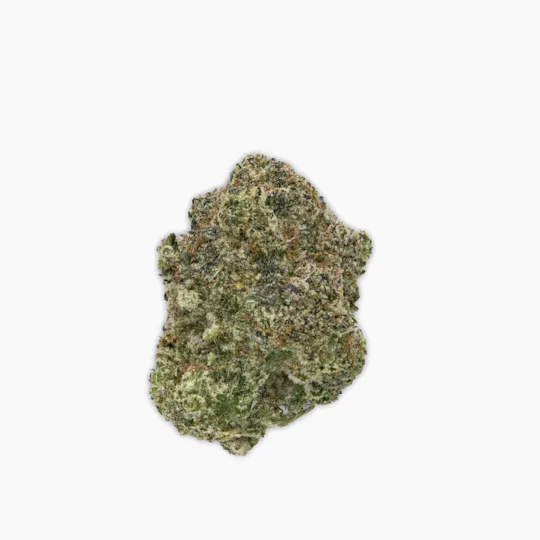 Vireo - Vireo | Gelato Cake | Flower | 7G - 1