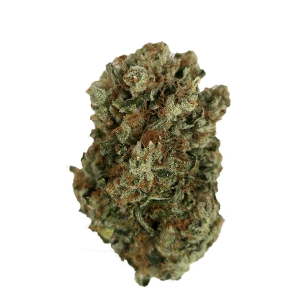 Vireo - Vireo | Twin Cities Kush | Flower | 7G - 1