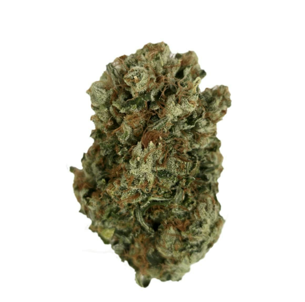 Vireo - Twin Cities Kush | Big Buds | 7g - 1