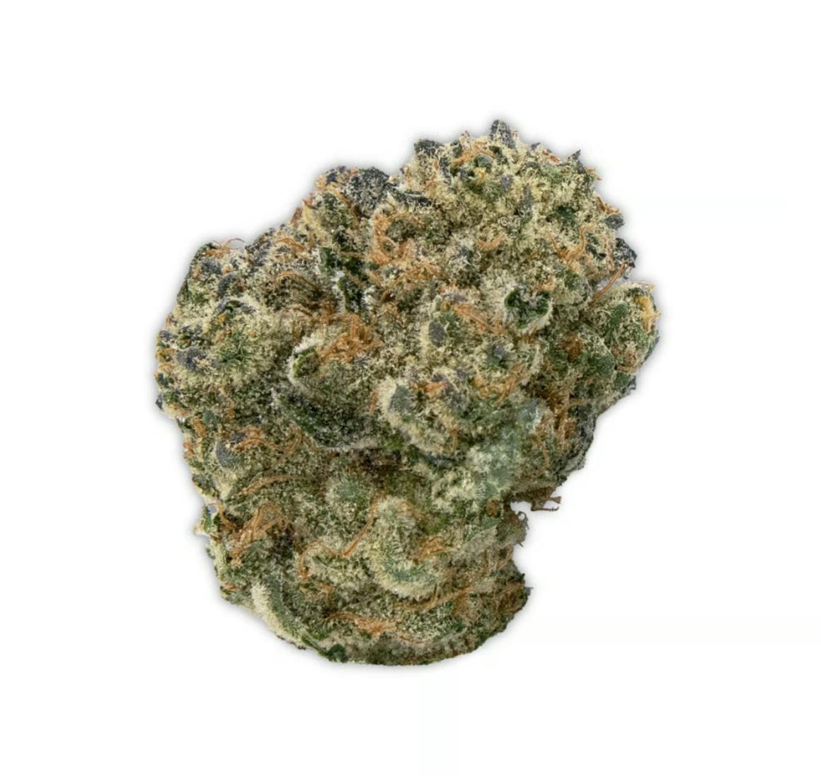 Vireo - Vireo | Sour Jack | Flower | 7G - 1