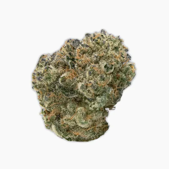 Vireo - Vireo | Sour Jack | Flower | 7G - 1