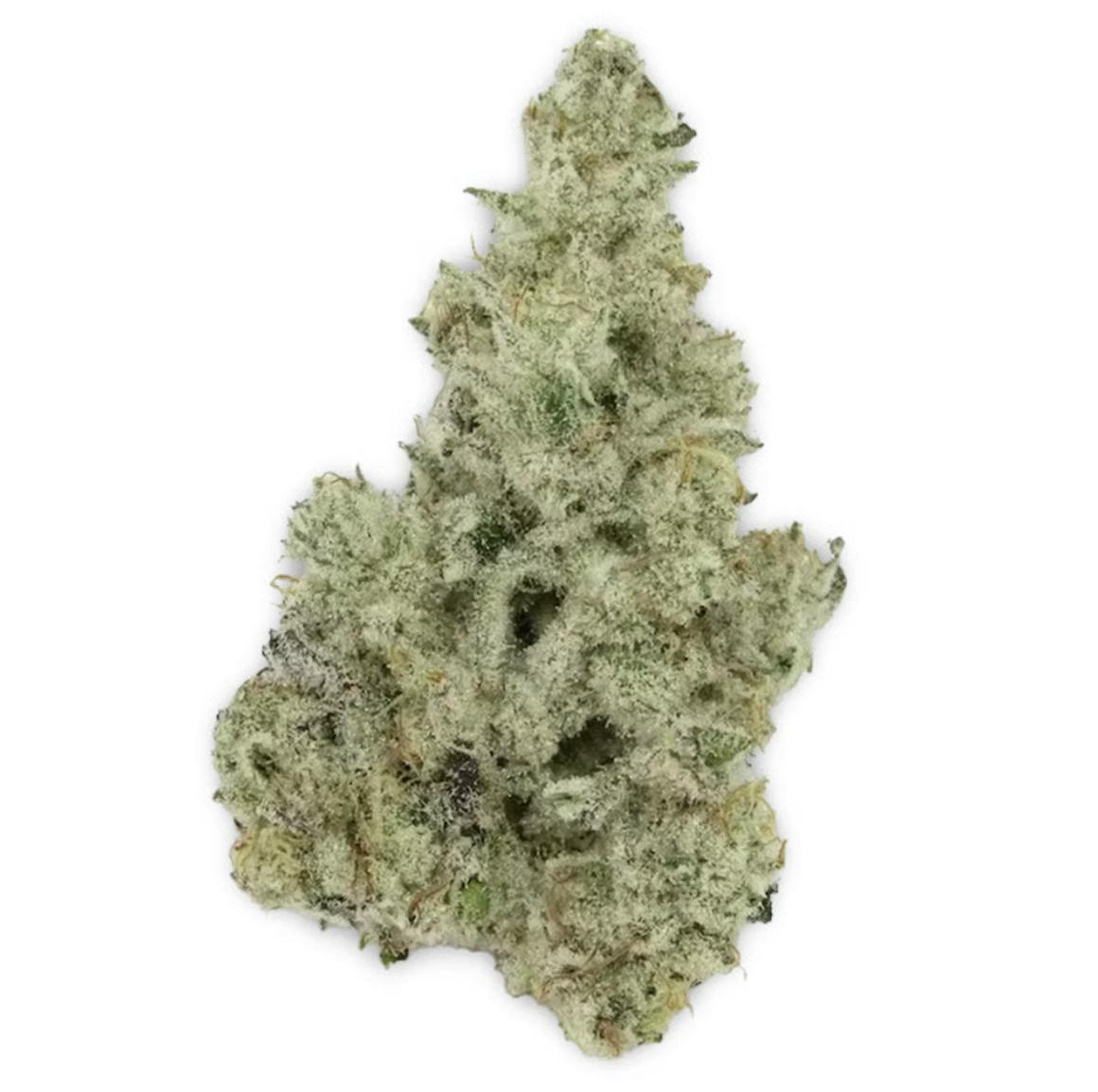 Vireo - Vireo | Cap Junky | Flower | 7G - 1