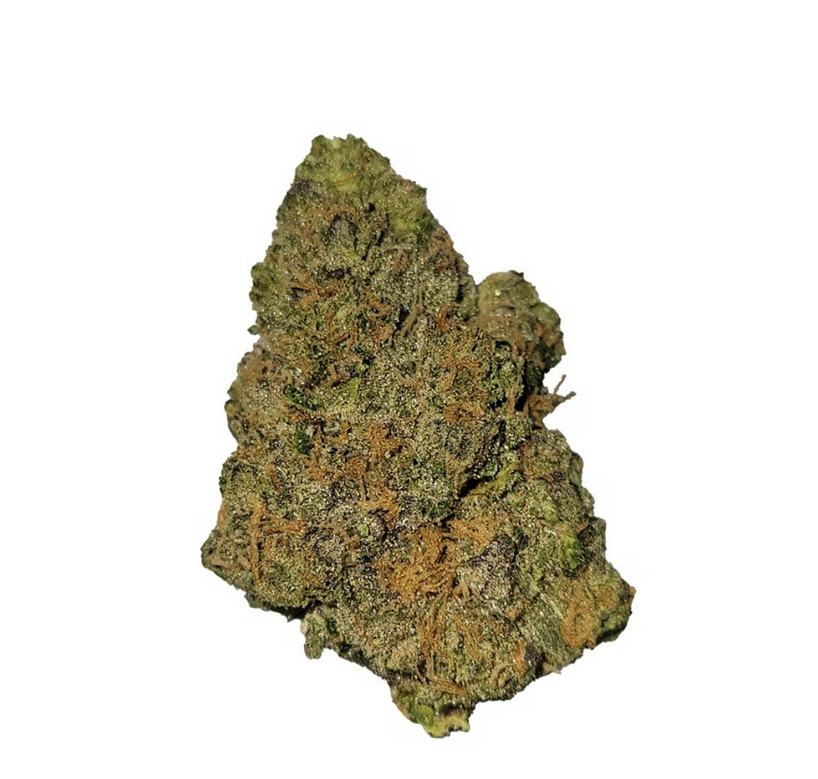 Vireo - Vireo | Black Maple | Flower | 7G - 1