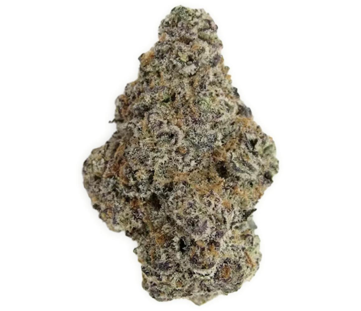 Vireo - Vireo | Glitter Bomb | Flower | 7G - 1