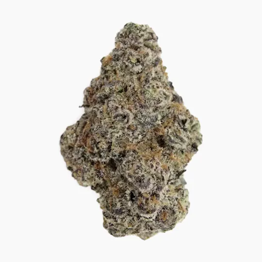 Vireo - Vireo | Glitter Bomb | Flower | 7G - 1