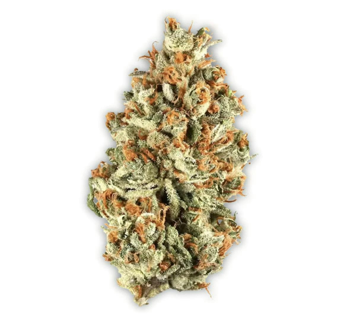 Vireo - PAVE | Big Buds | 7g - 1