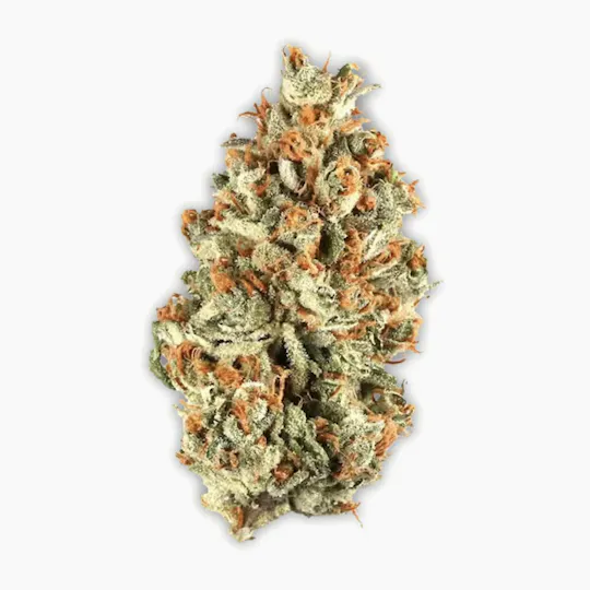 Vireo - PAVE | Big Buds | 7g - 1