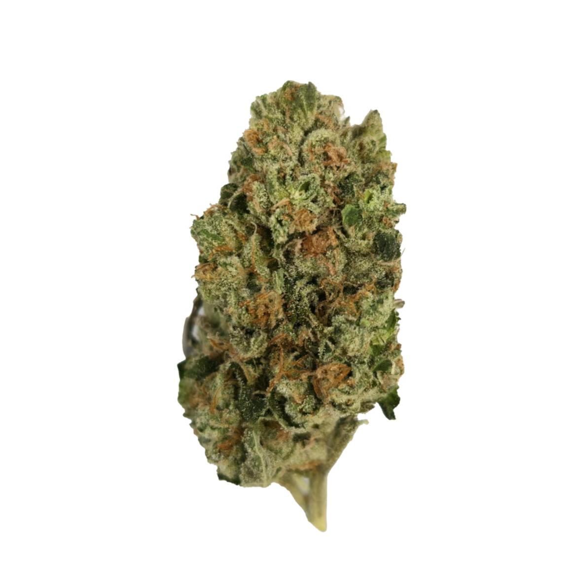 Vireo - Vireo | Znow Flakes | Flower | 7G - 1