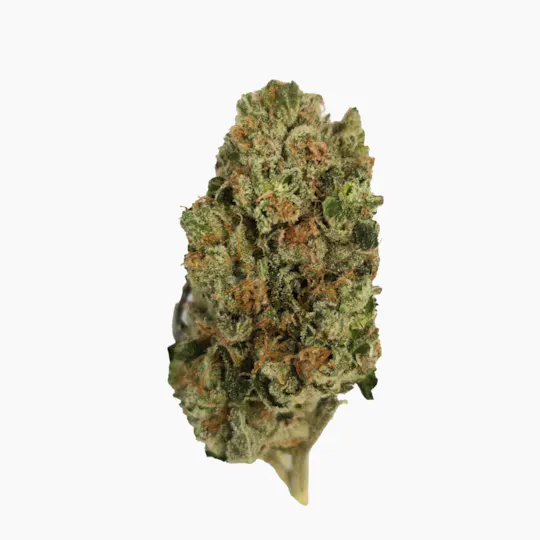Vireo - Vireo | Znow Flakes | Flower | 7G - 1