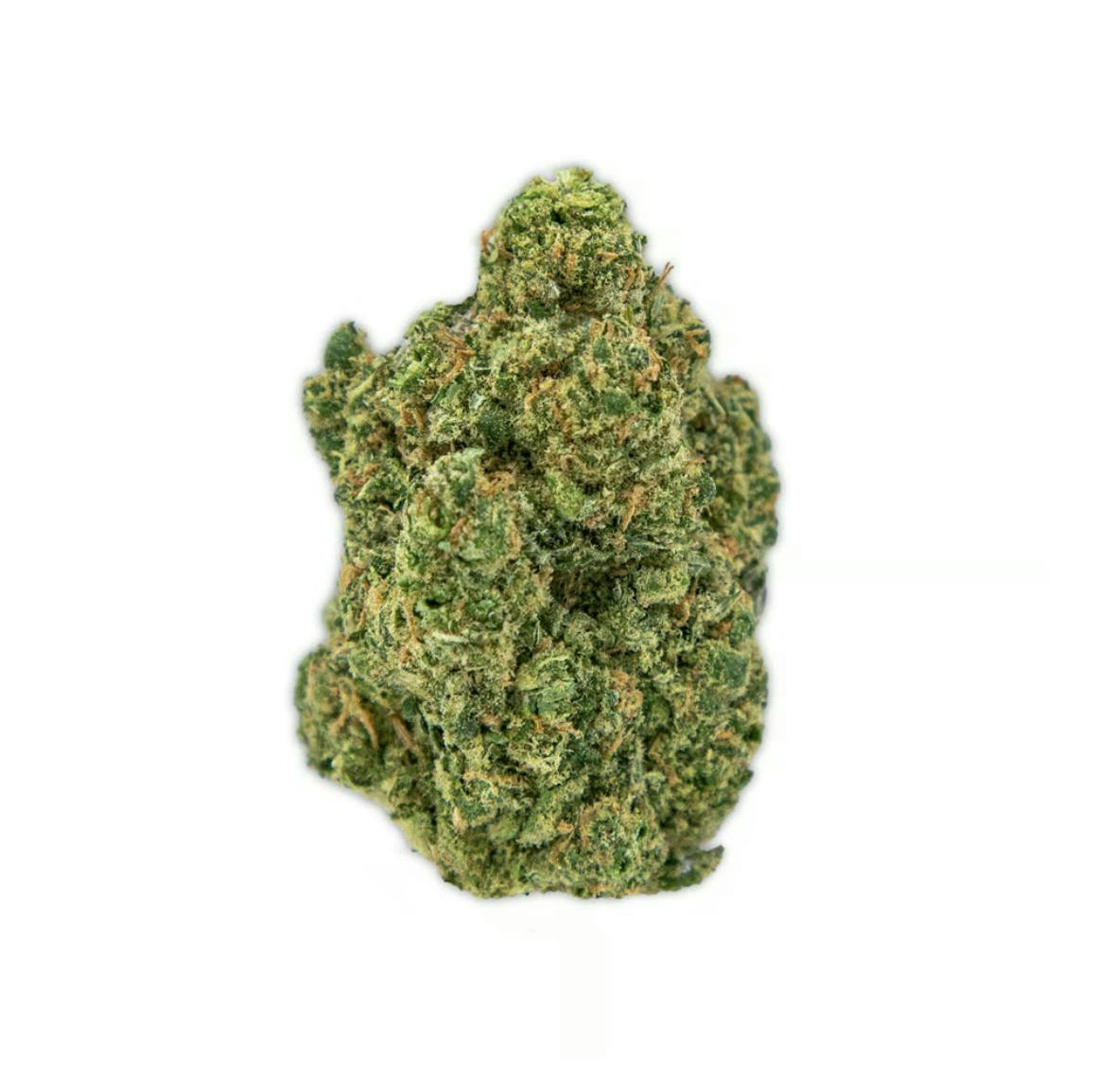 Vireo - Durban Dream | Big Buds | 7g - 1