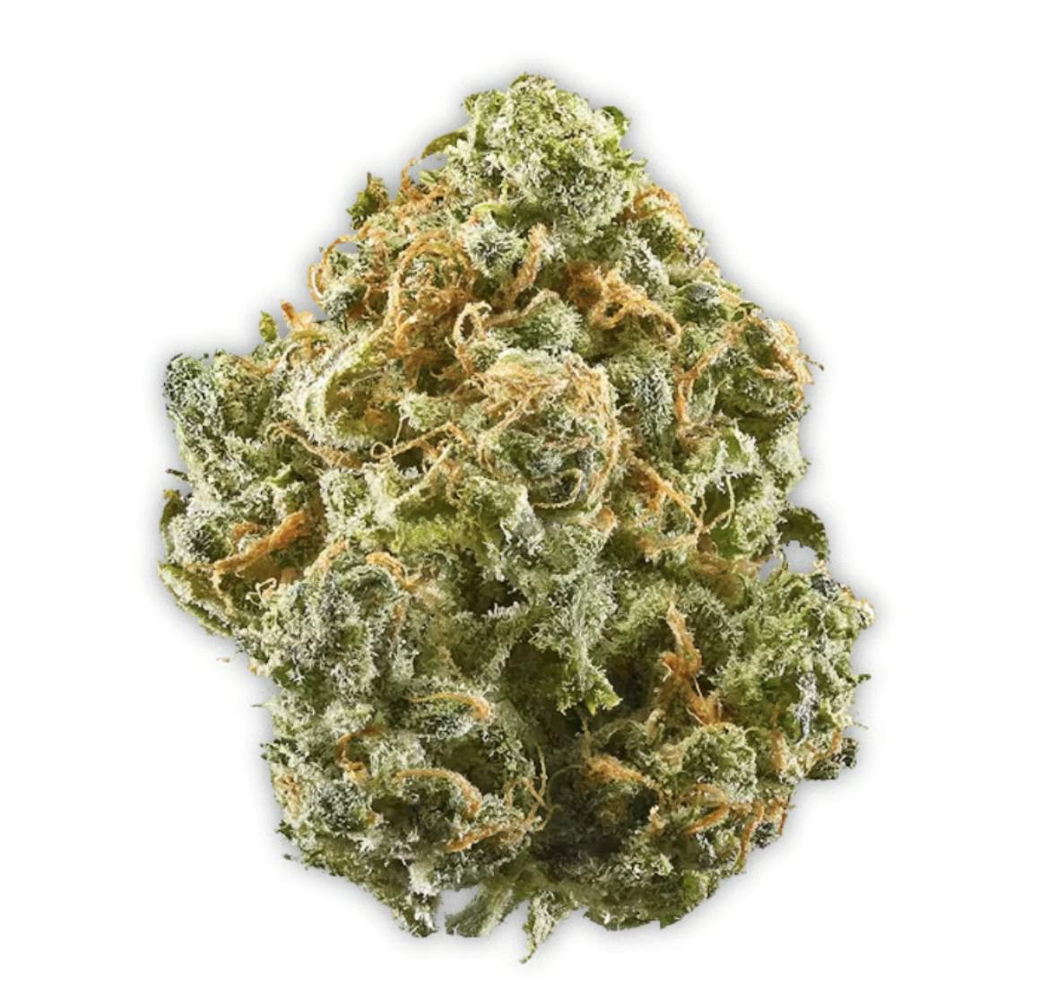 Vireo - Vireo | Blue Dream | Flower | 7G - 1