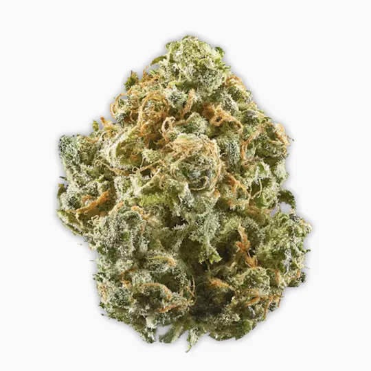 Vireo - Vireo | Blue Dream | Flower | 7G - 1