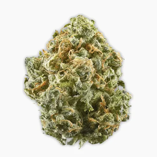Vireo - Blue Dream | Big Buds | 7g - 1