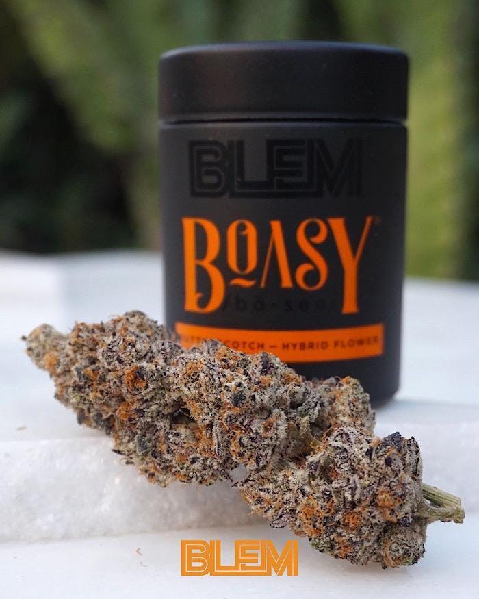 BLEM - Butterscotch Flower | 3.5g - 1