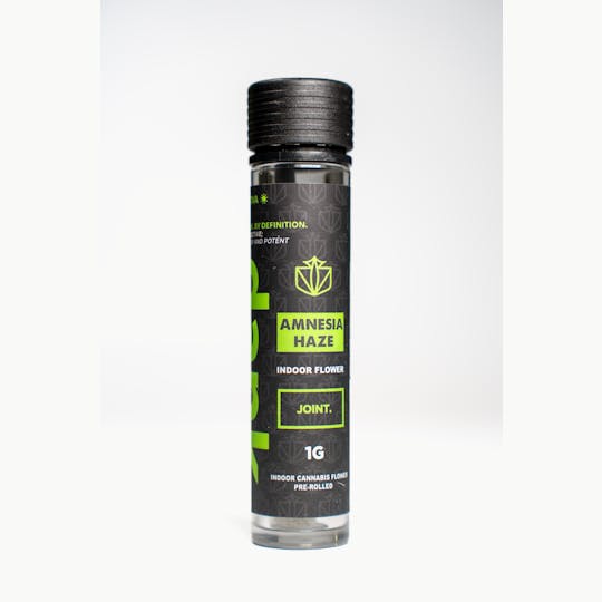 Dank By Definition - AMNESIA HAZE 1G JOINT - 1