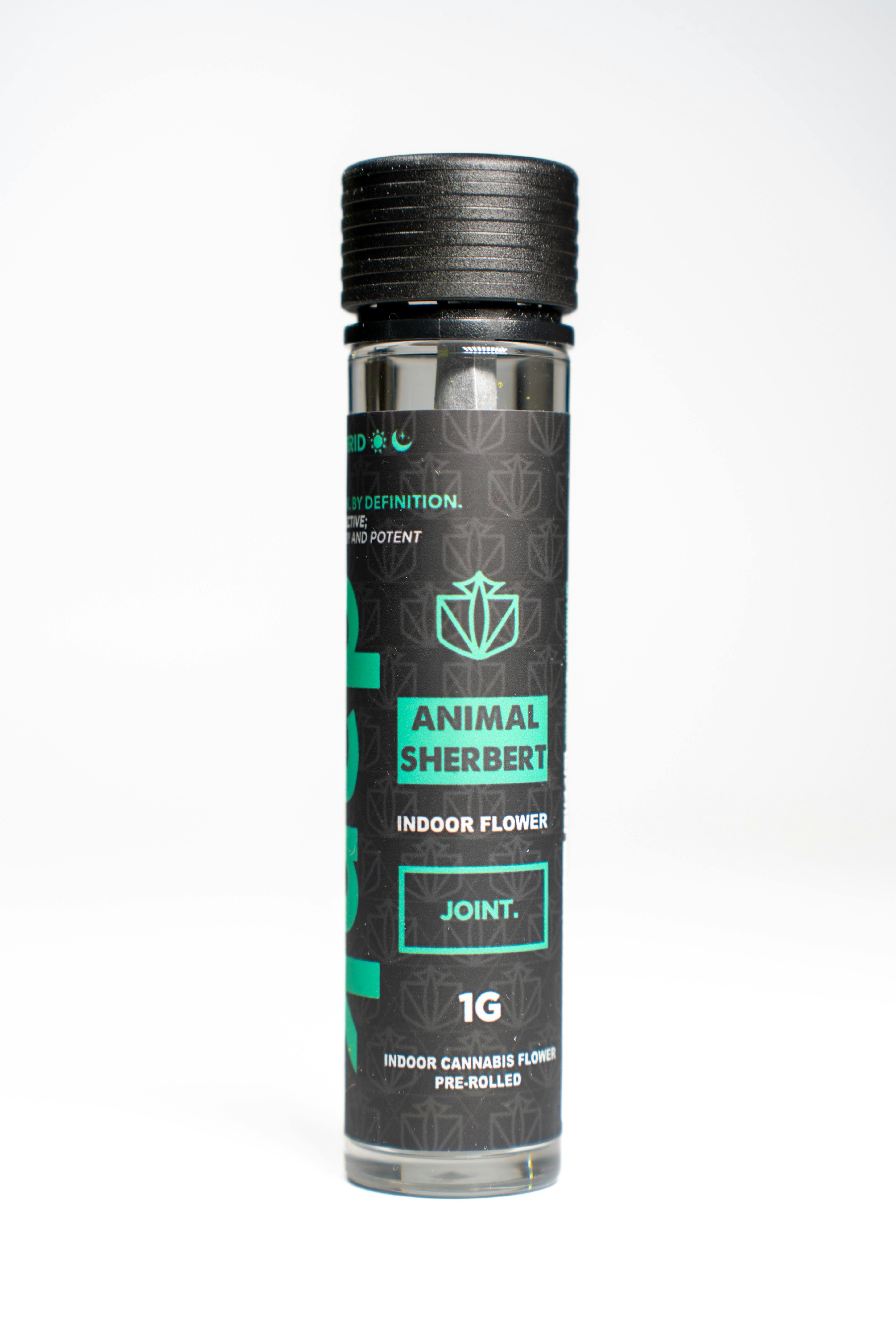 Dank By Definition - ANIMAL SHERBERT 1G JOINT - 1