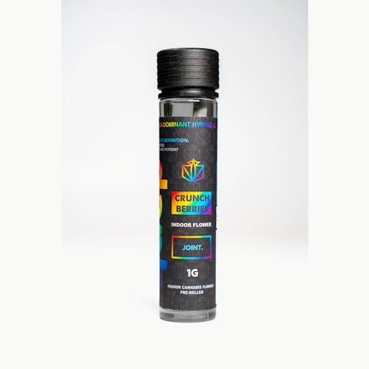 Dank By Definition - CRUNCH BERRIES 1G JOINT - 1