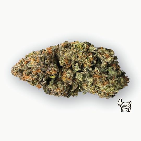 The Laughing Goat - DONNY BURGER | BIG BUDS | 14G - 1