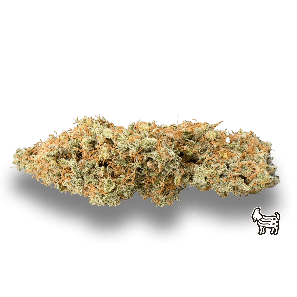 The Laughing Goat - DURBAN POISON | BIG BUDS | 28G - 1