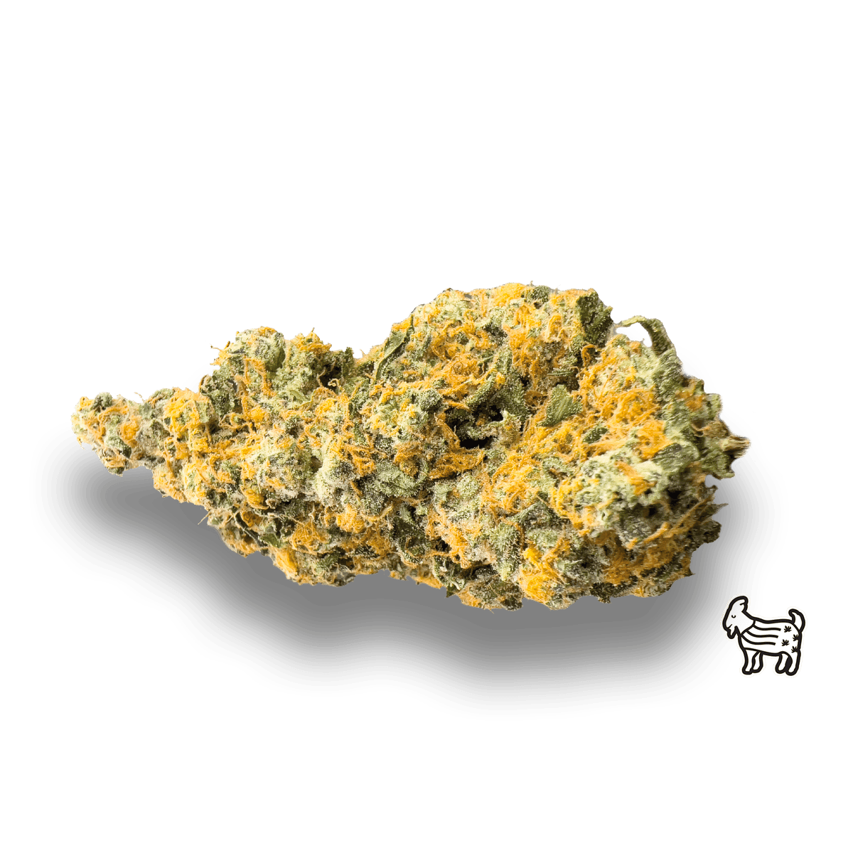 The Laughing Goat - GMOSKI | BIG BUDS | 14G - 1