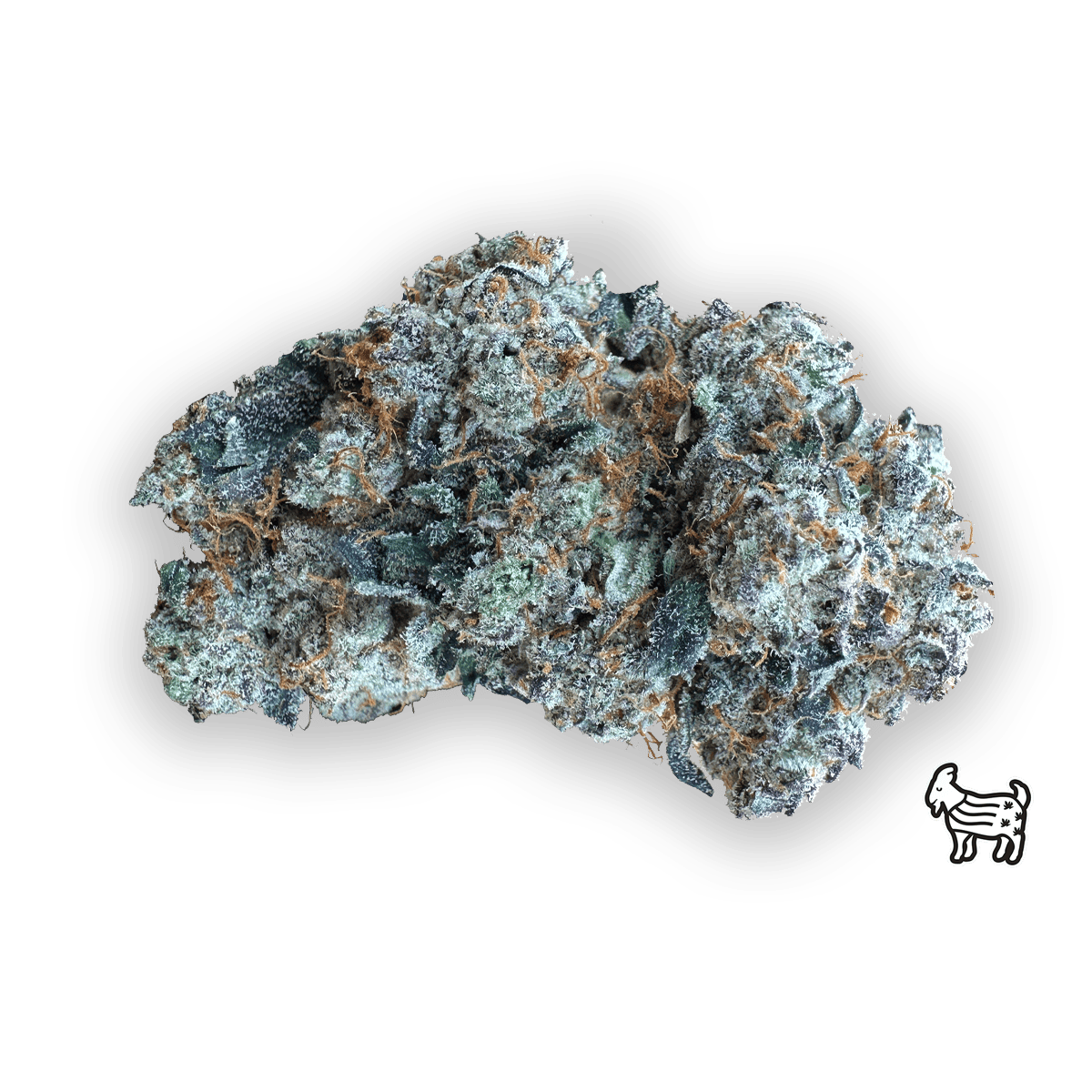 The Laughing Goat - CRIPPY | BIG BUDS | 14G - 1