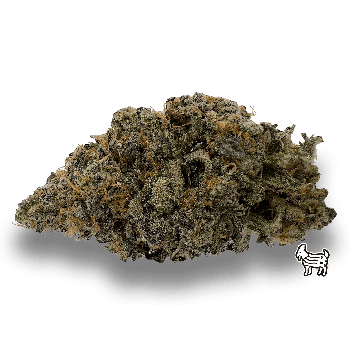 The Laughing Goat - PYXY STYX | BIG BUDS | 14G - 1