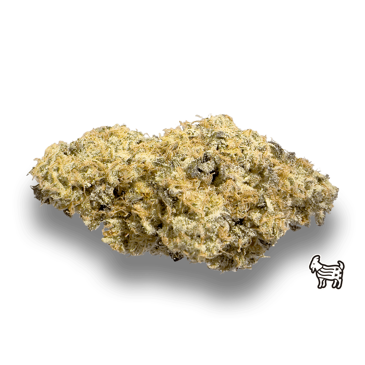The Laughing Goat - VANILLA FROSTY | BIG BUDS | 28G - 1