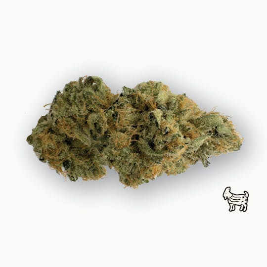 The Laughing Goat - SOUR GOAT | BIG BUDS | 7G - 1