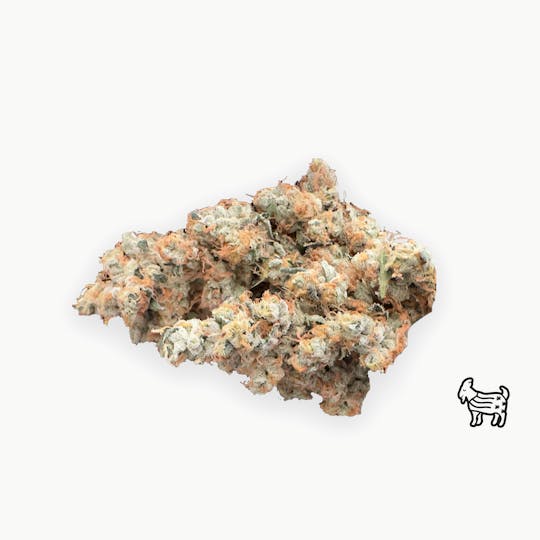 The Laughing Goat - SUNSET DIESEL | BIG BUDS | 14G - 1