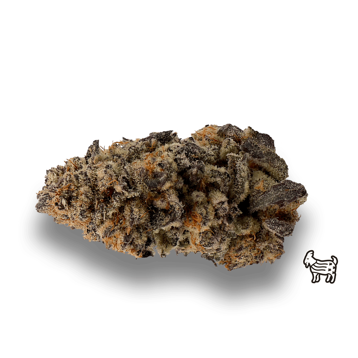 The Laughing Goat - PURPLE PUNCH | BIG BUDS | 28G - 1