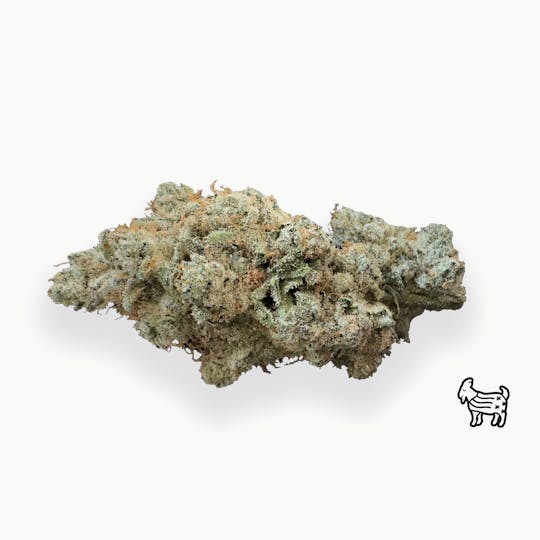 The Laughing Goat - SLAPZ | BIG BUDS | 7G - 1