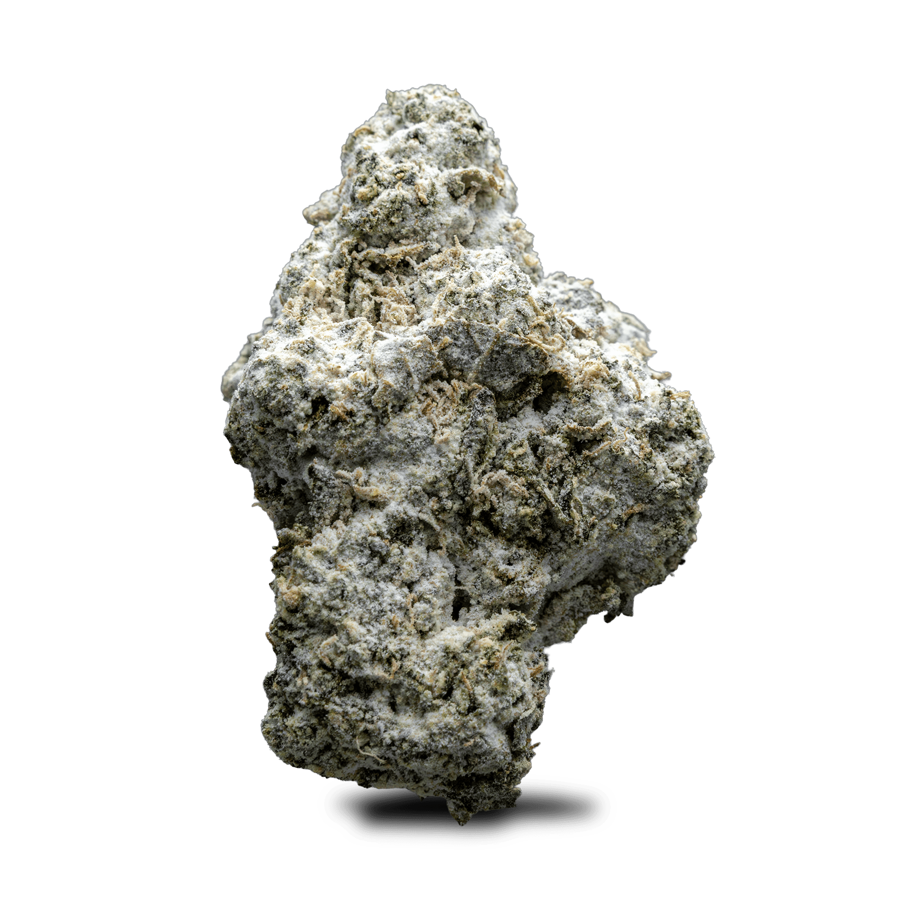 Society C - Society C | Super Lemon | Infused Flower - 1