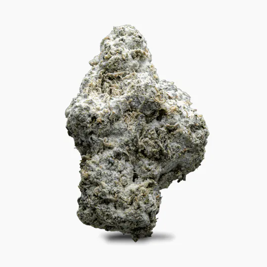 Society C - Society C | Super Lemon | Infused Flower - 1
