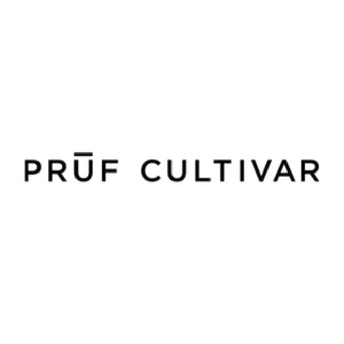 Prūf Cultivar - Prūf Cultivar | Island Pie | Flower | 7G - 1