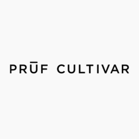Prūf Cultivar - Prūf Cultivar | Island Pie | Flower | 28G - 1